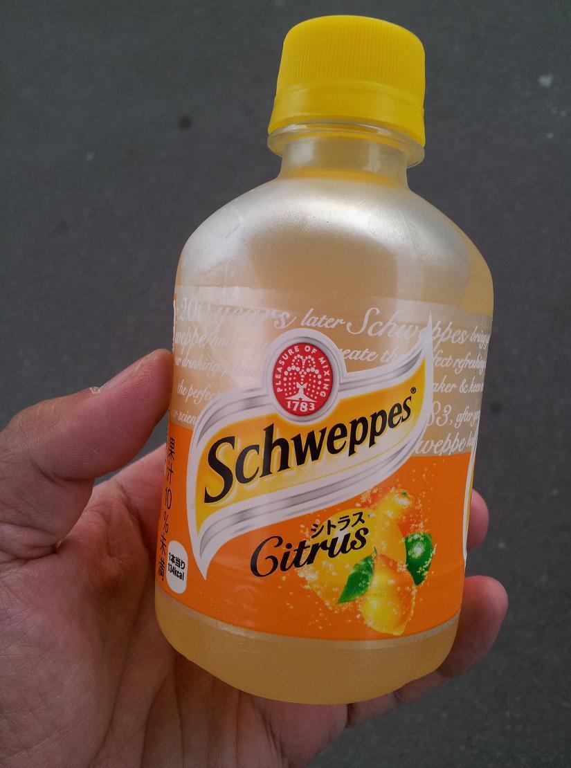 Schweppes(シュウェップス)のアンティークボトルケース karatebih.ba